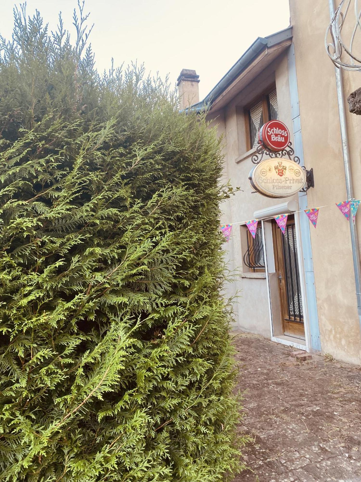 La Mariefacture - Comme A La Guinguette ! Villa Hombourg-Haut Eksteriør billede
