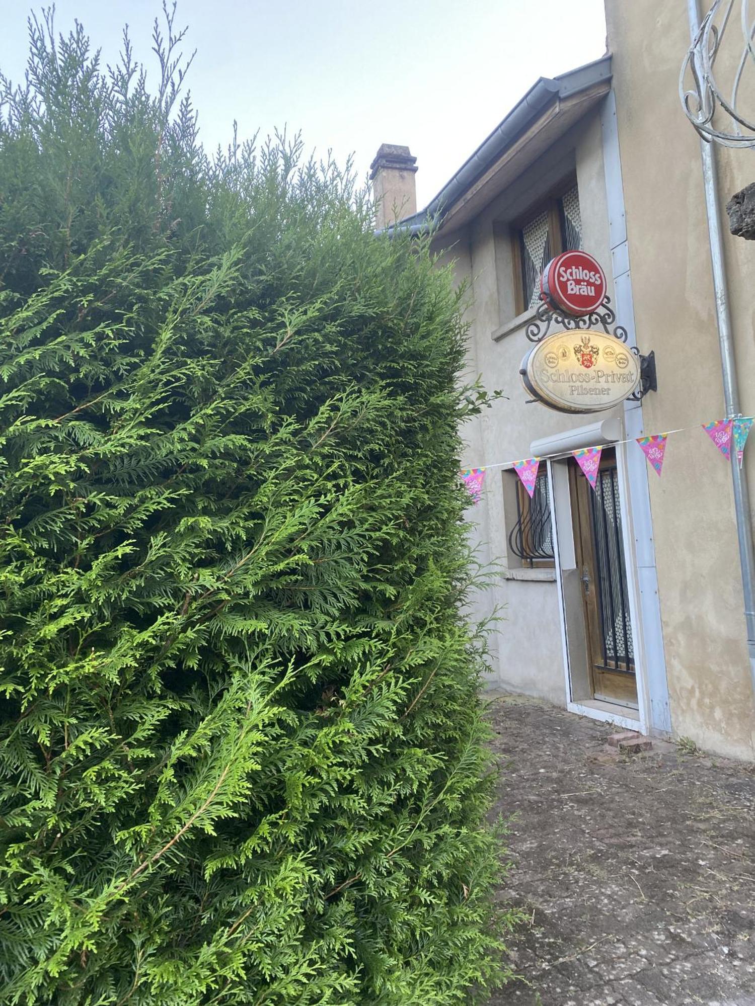La Mariefacture - Comme A La Guinguette ! Villa Hombourg-Haut Eksteriør billede